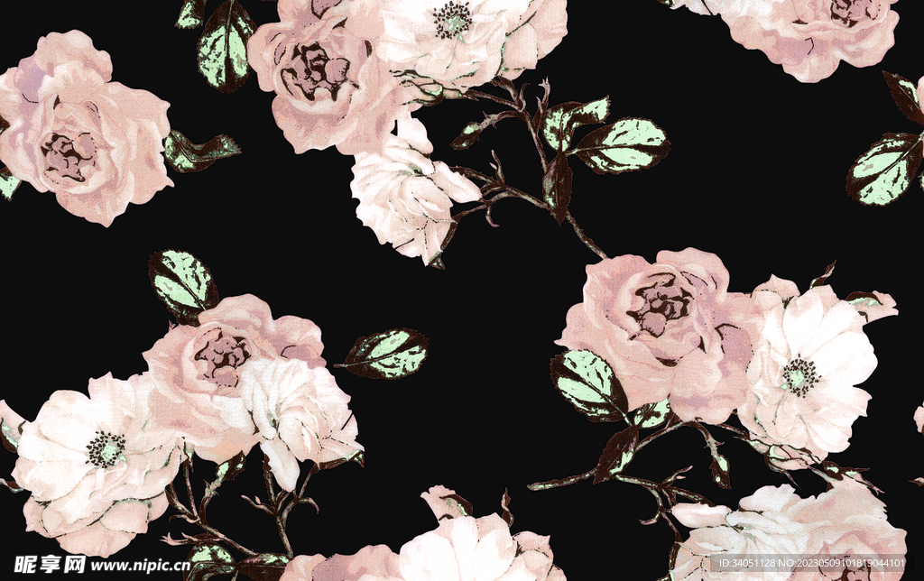 水彩花 玫瑰花 渐变花