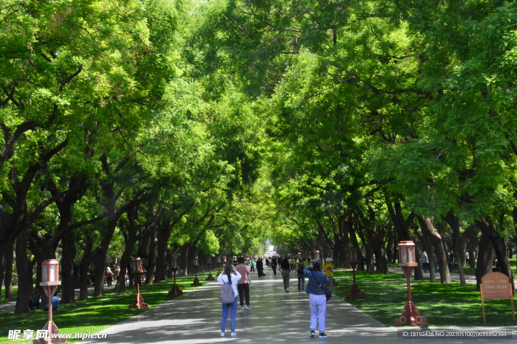 公园风景