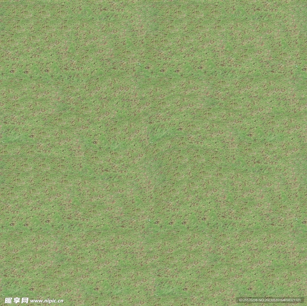 草地