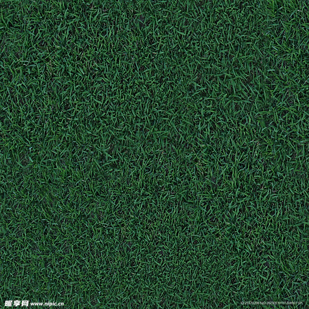 草地