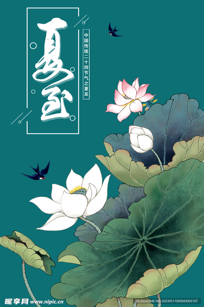  夏至节气海报 