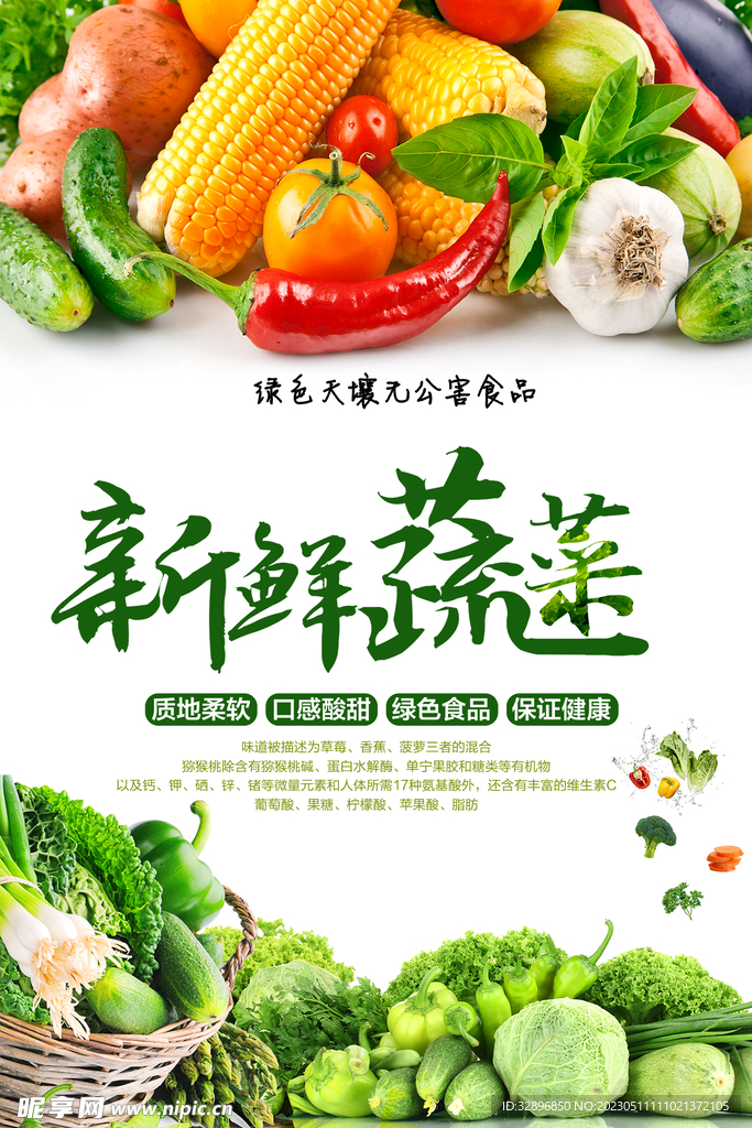 蔬菜海报