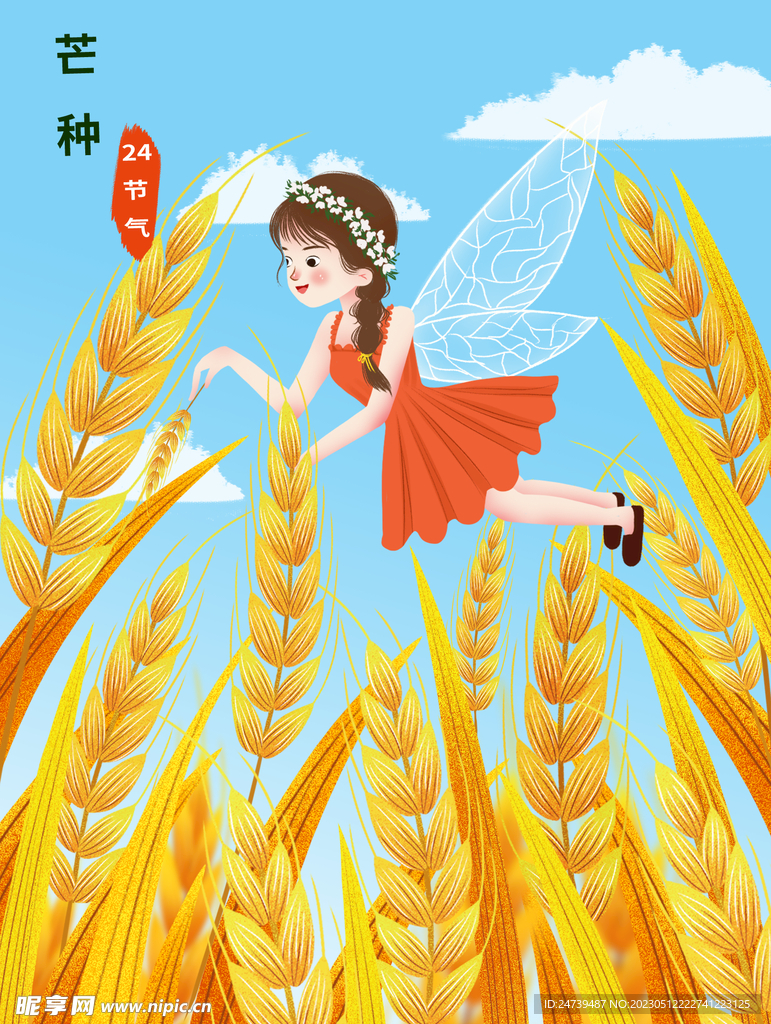 芒种海报