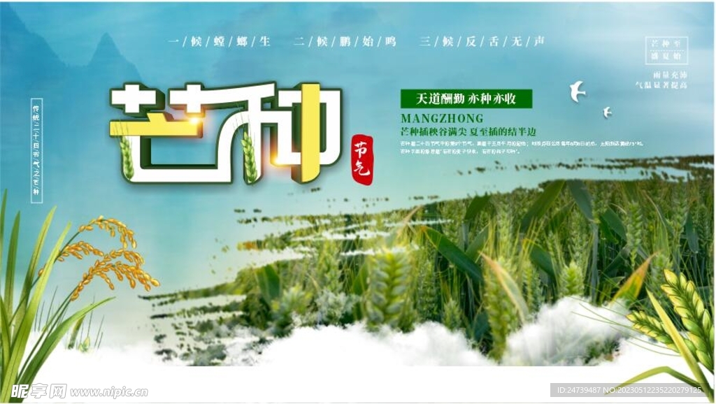 芒种海报
