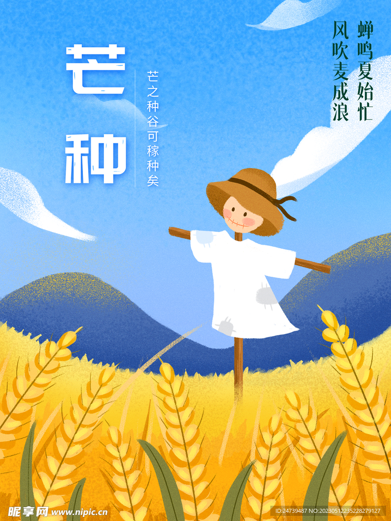 芒种海报
