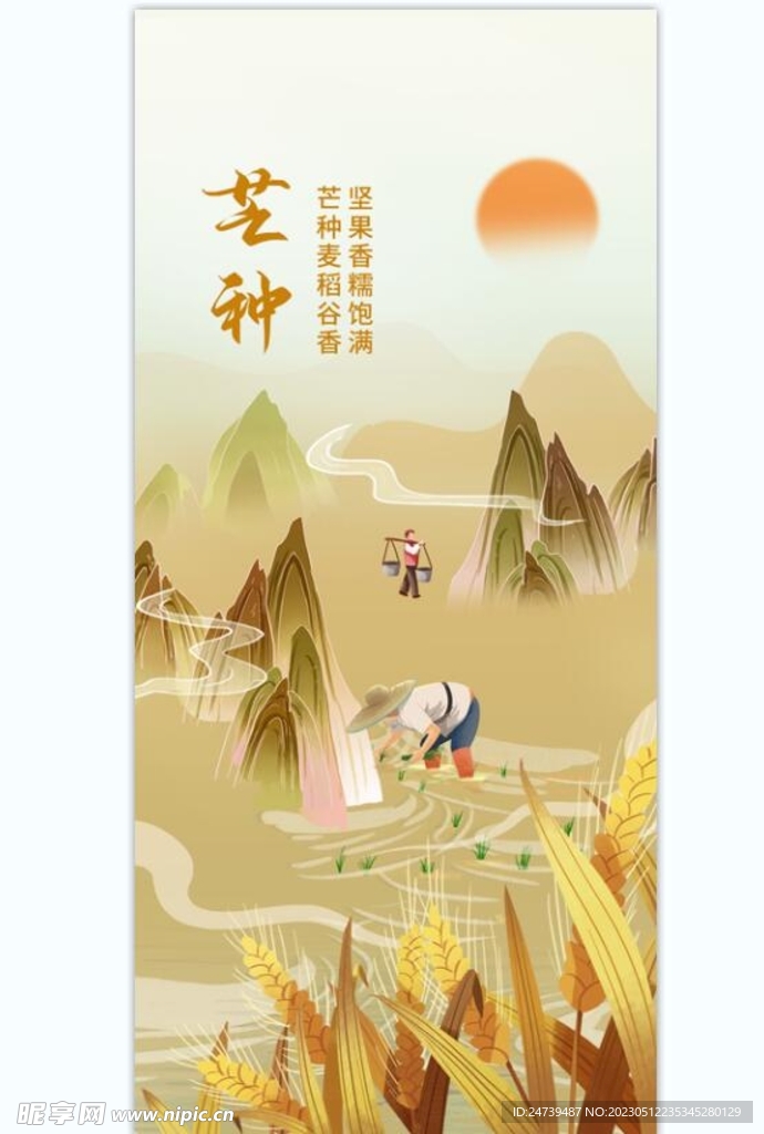 芒种