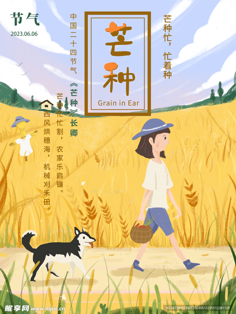 芒种海报