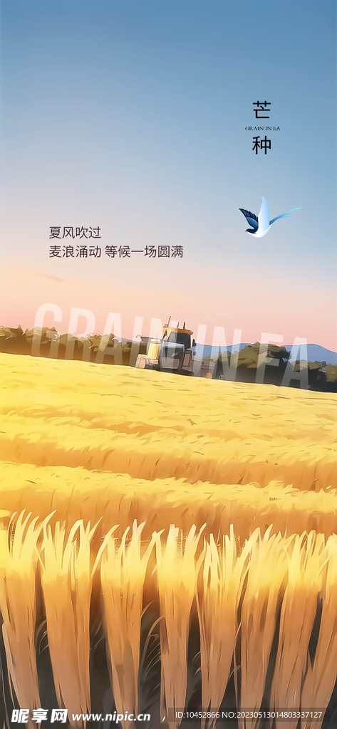 小满