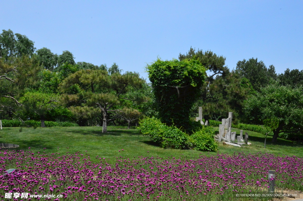 公园风景