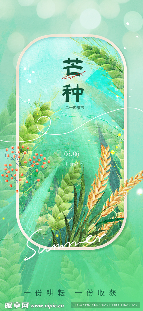 芒种海报