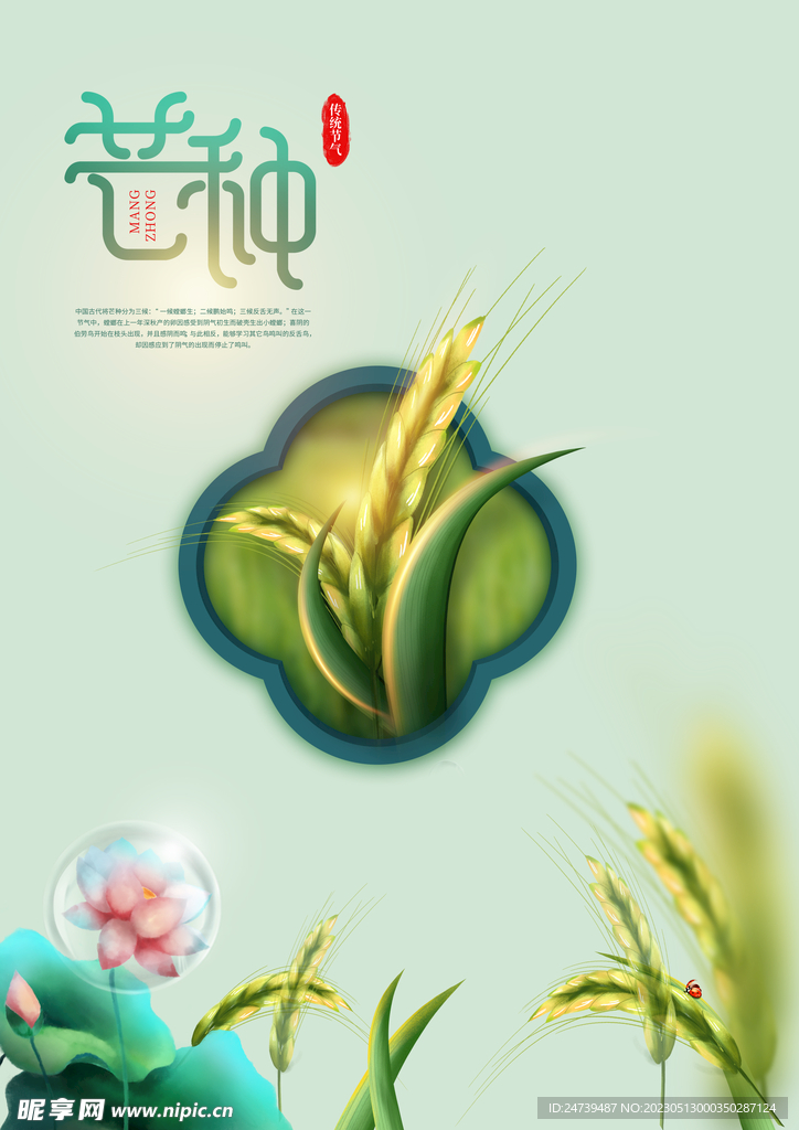 芒种素材