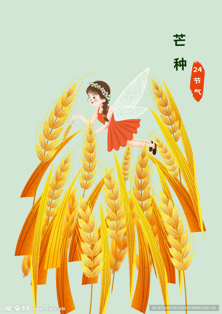 芒种素材