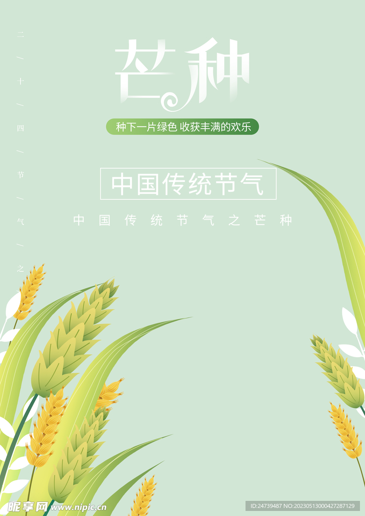 芒种素材
