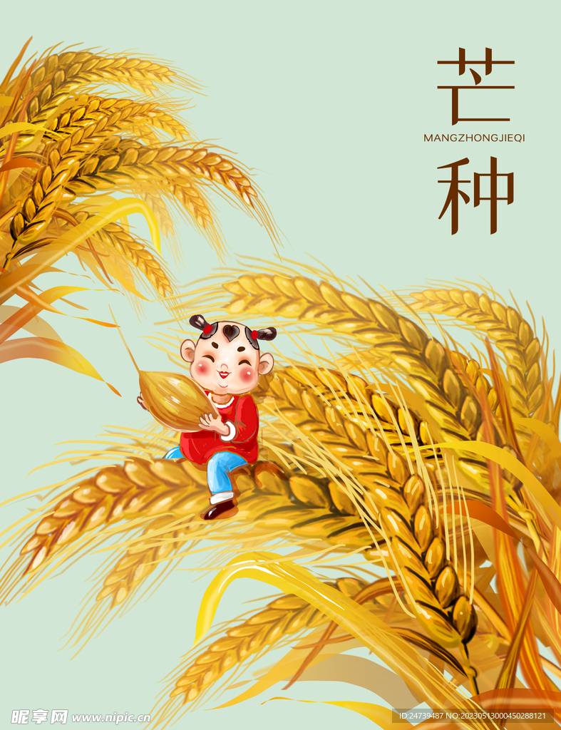 芒种素材