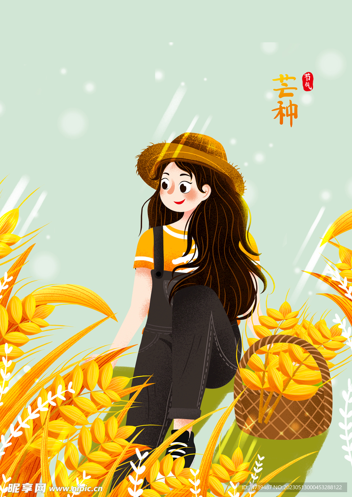 芒种素材