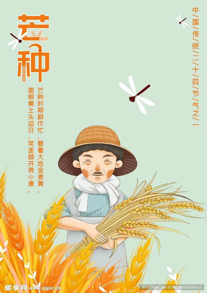 芒种素材