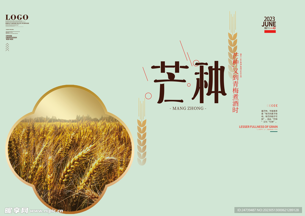 芒种素材