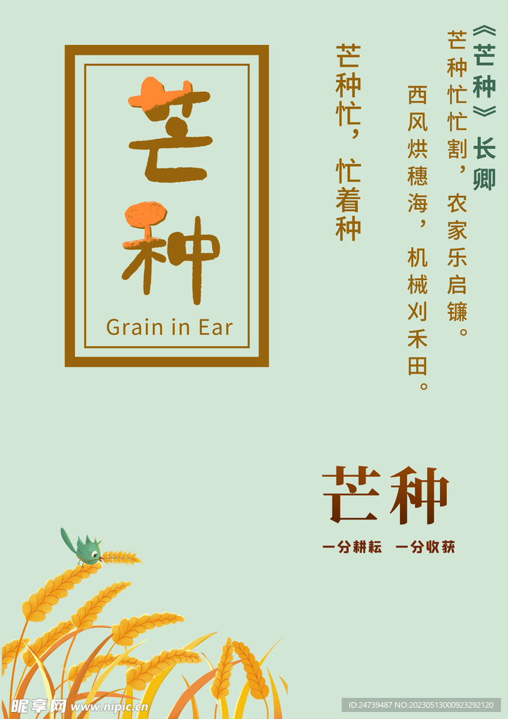芒种素材