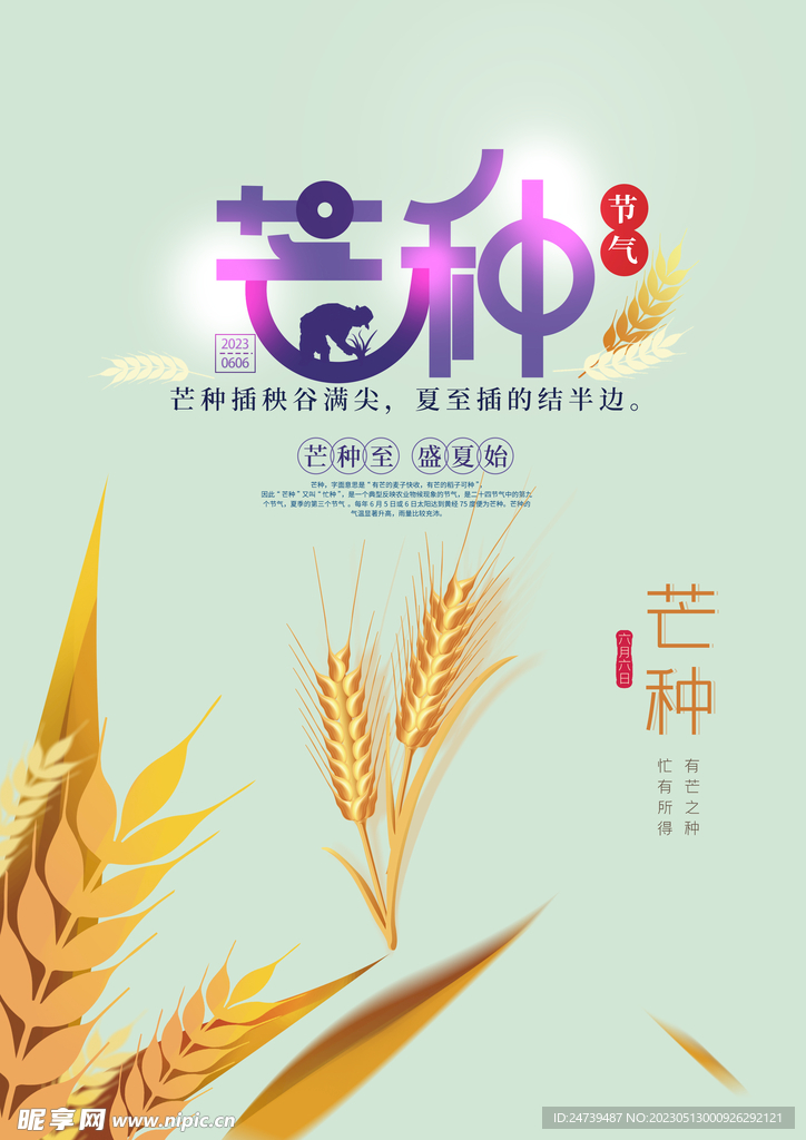 芒种素材
