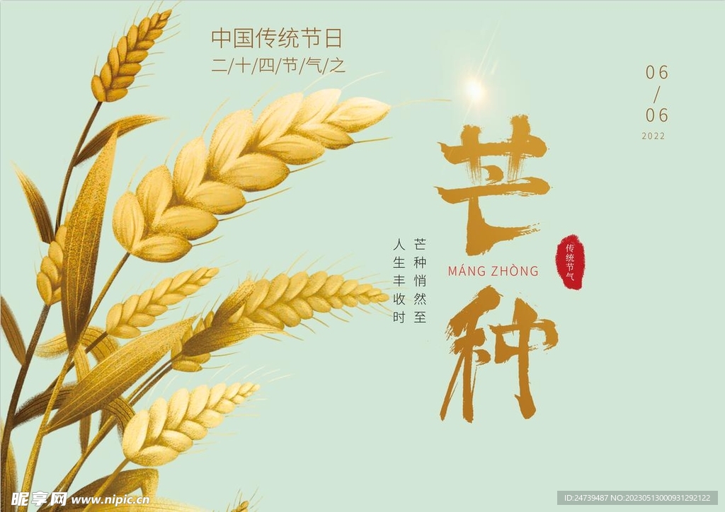芒种素材