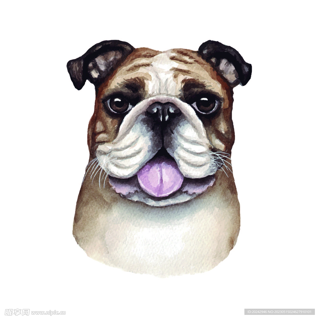 宠物狗 斗牛犬