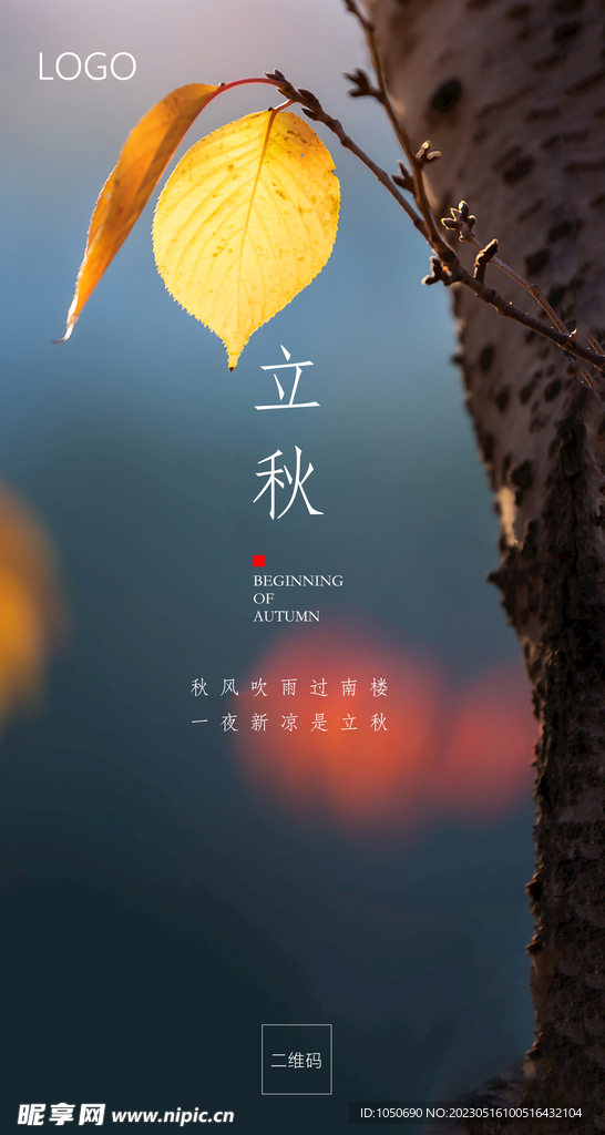 立秋海报