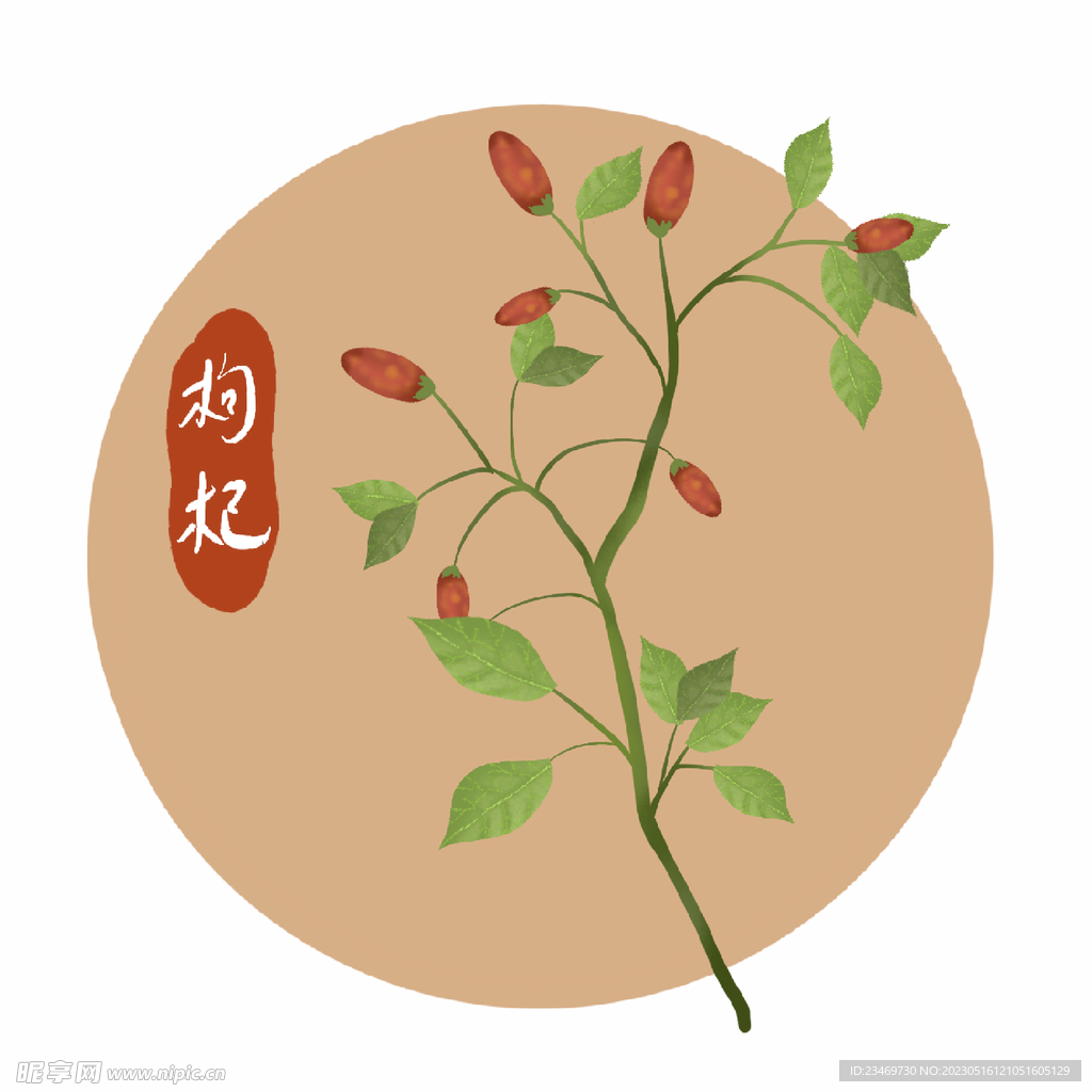 枸杞