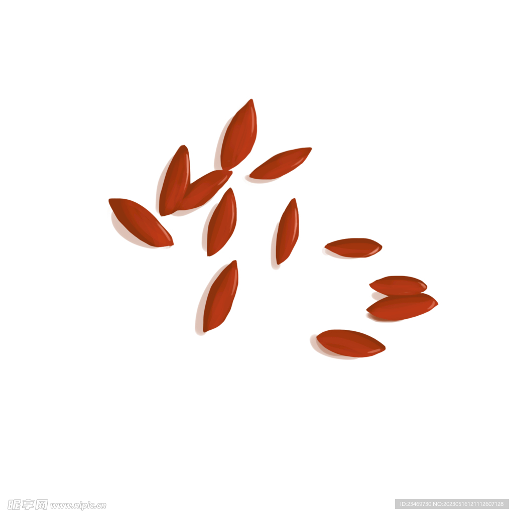 枸杞