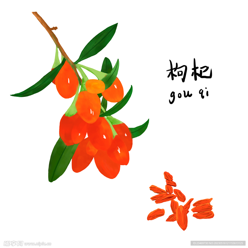 枸杞