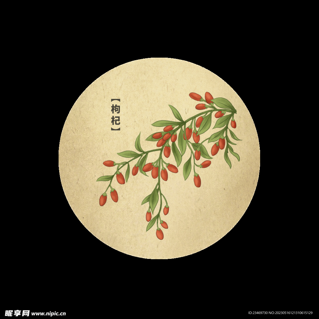 枸杞