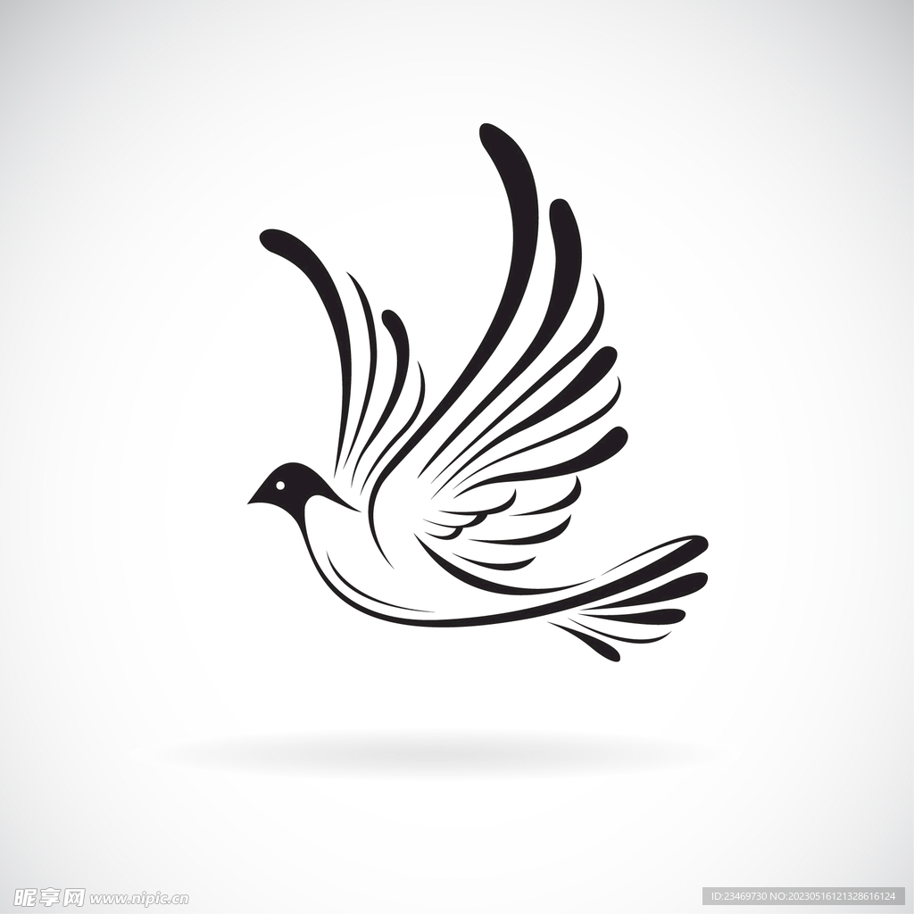 鸽子