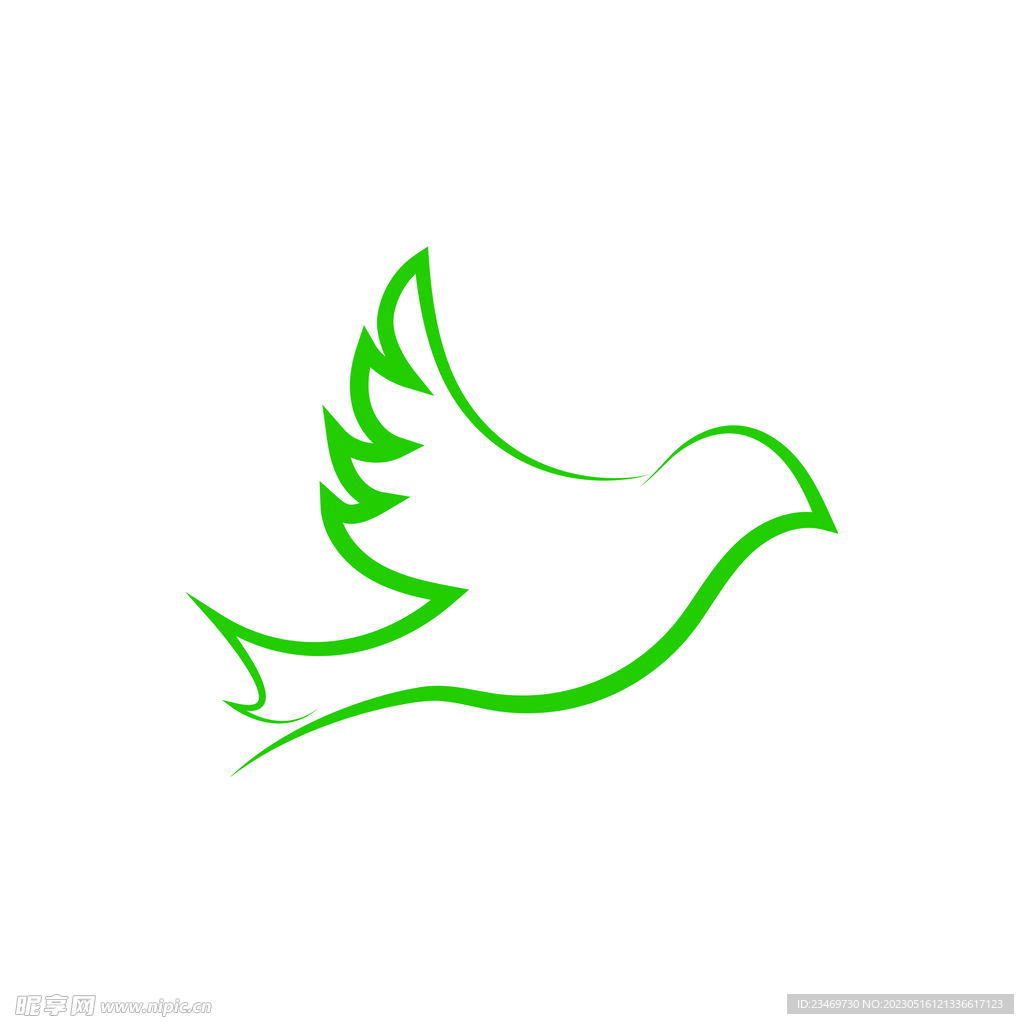 鸽子