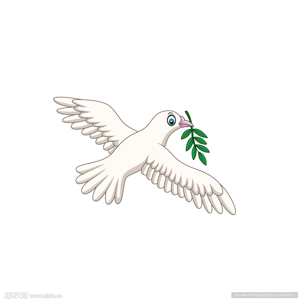 鸽子