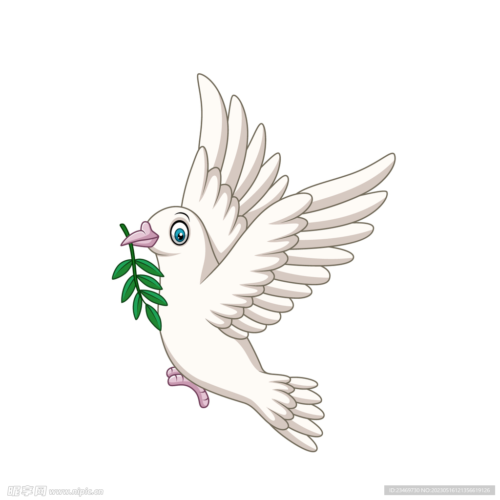 鸽子