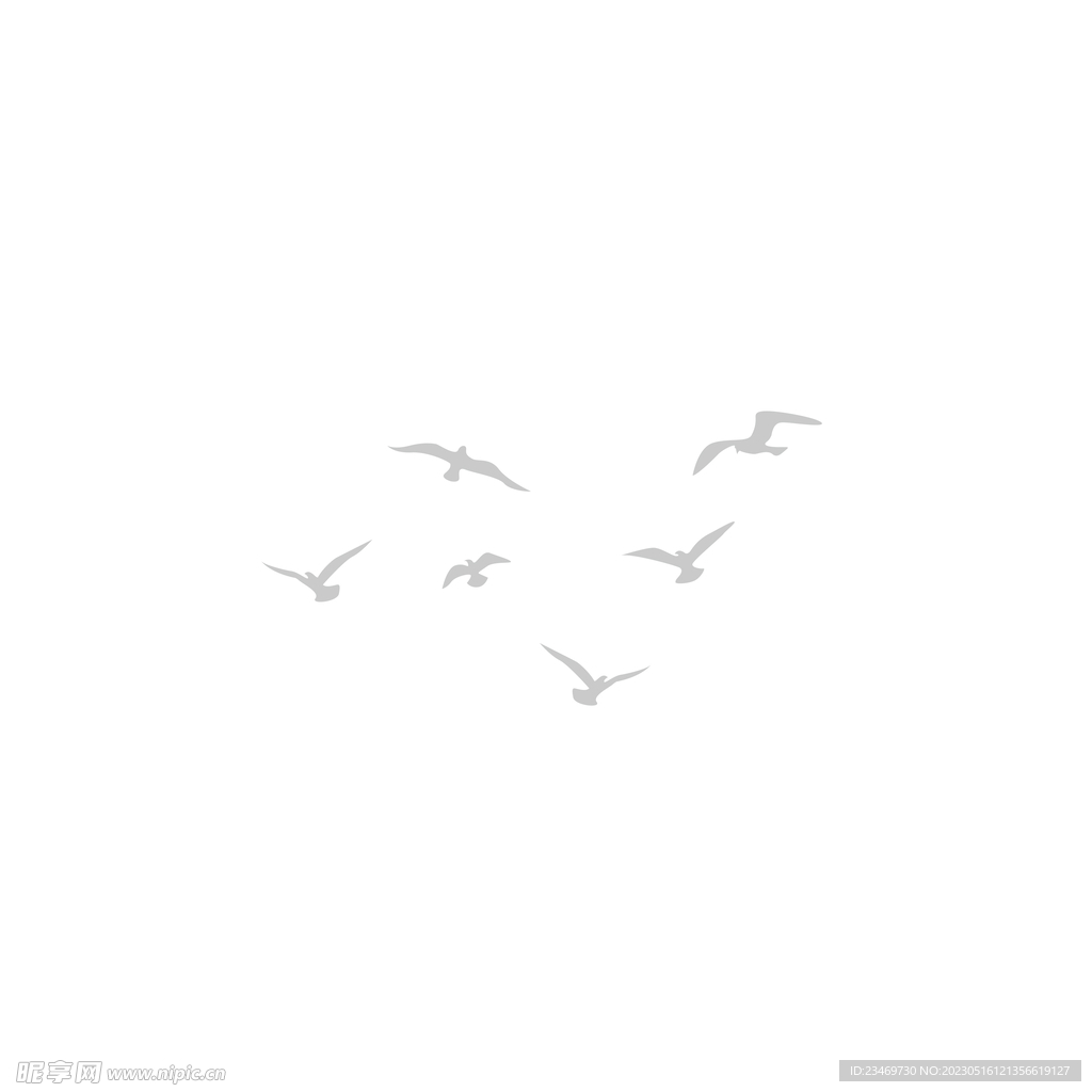 鸽子