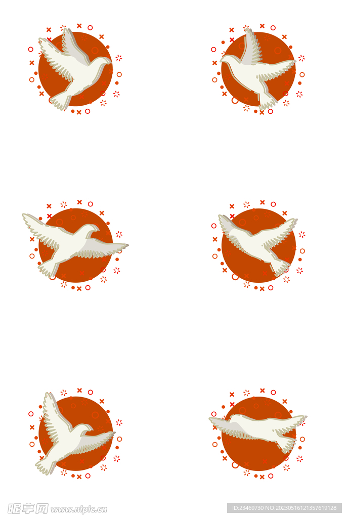 鸽子