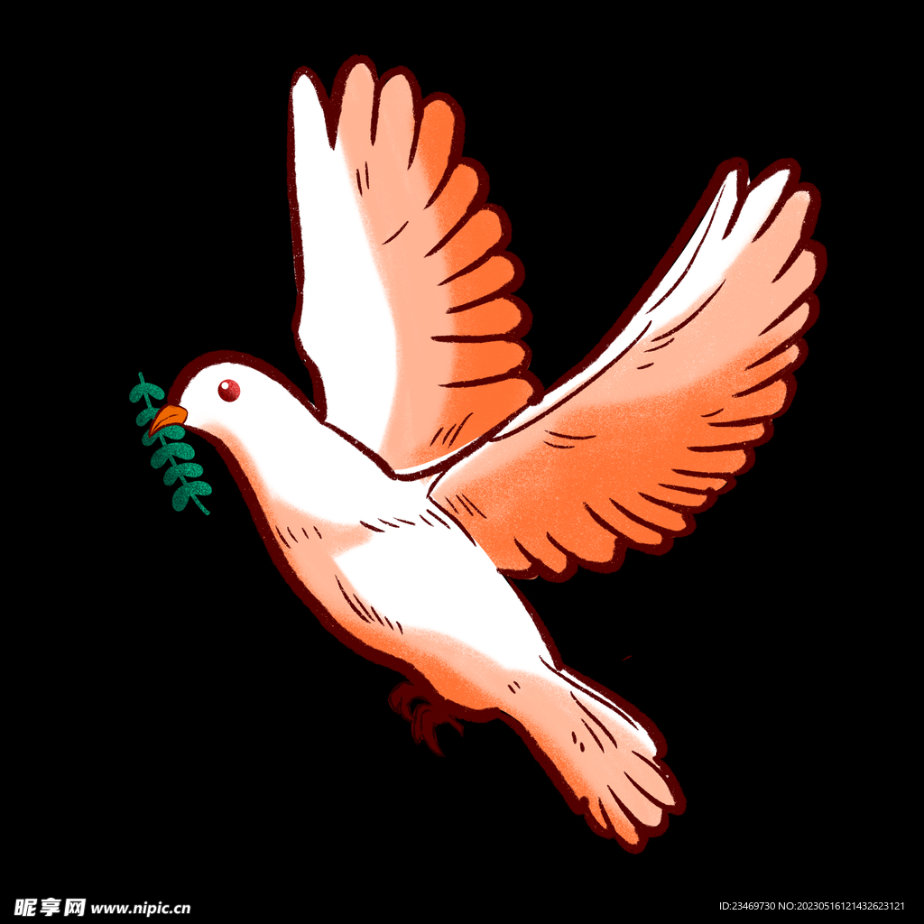 鸽子