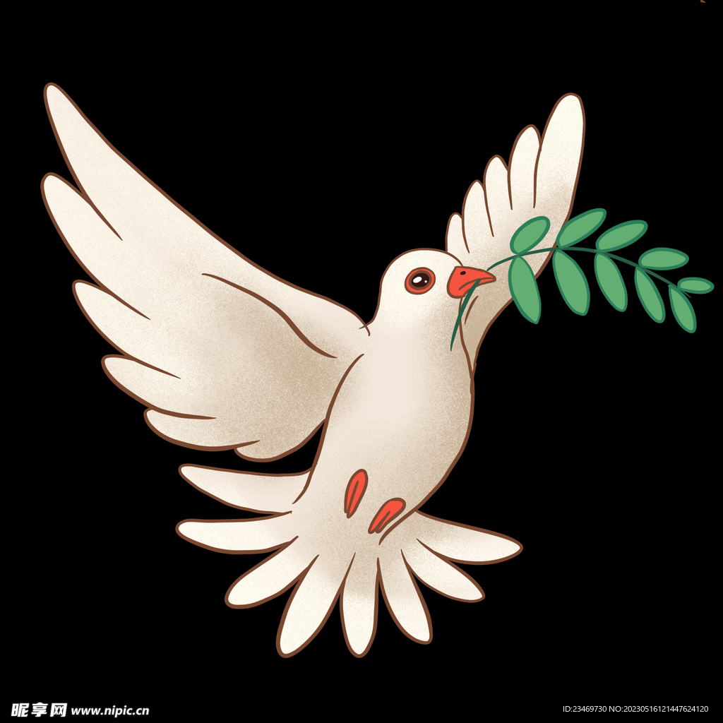鸽子