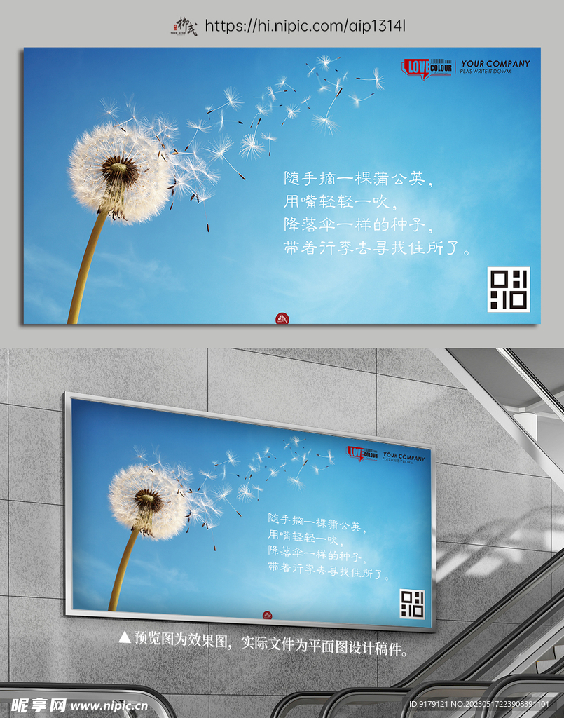 蒲公英素材