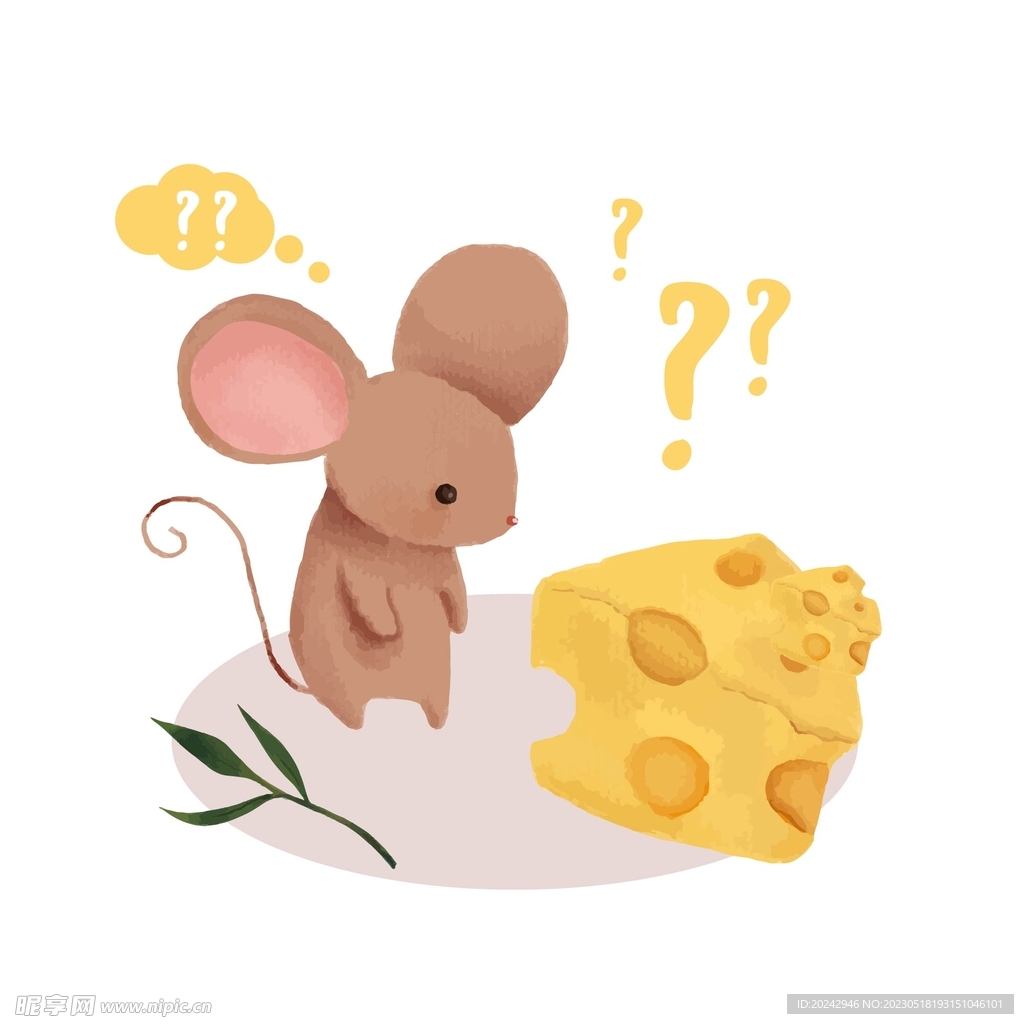 小动物卡片  