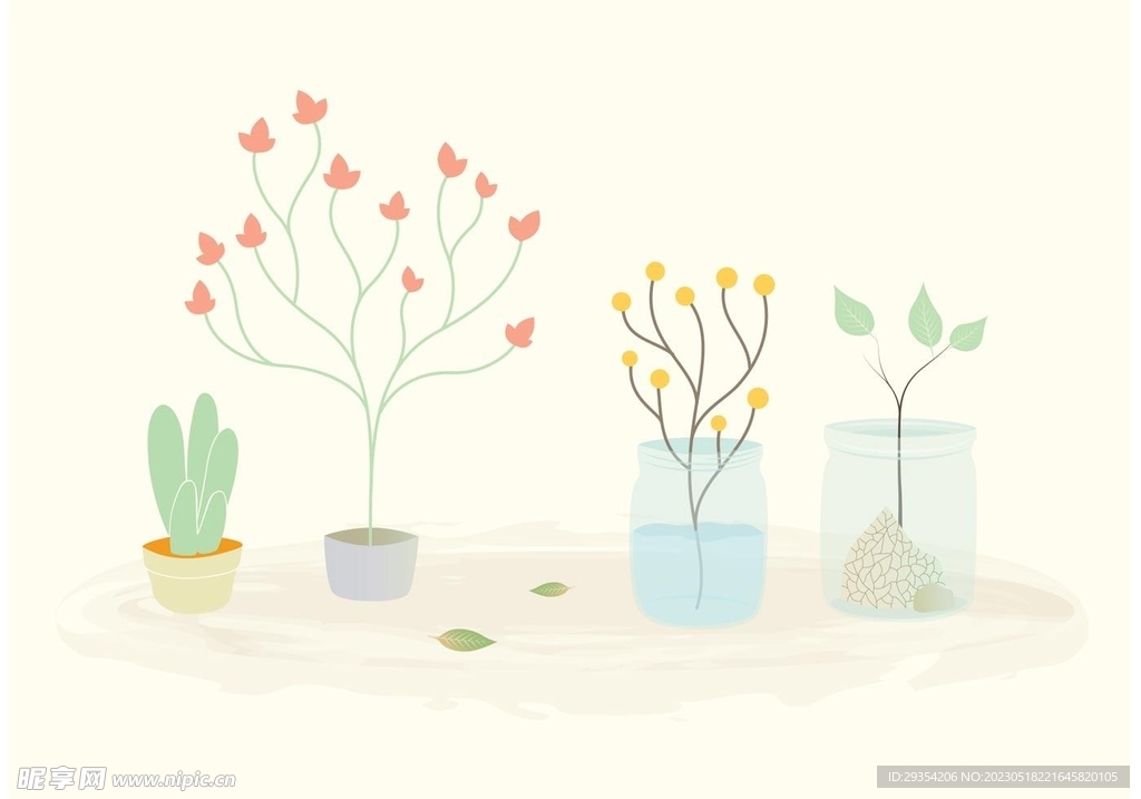 植物插画图片