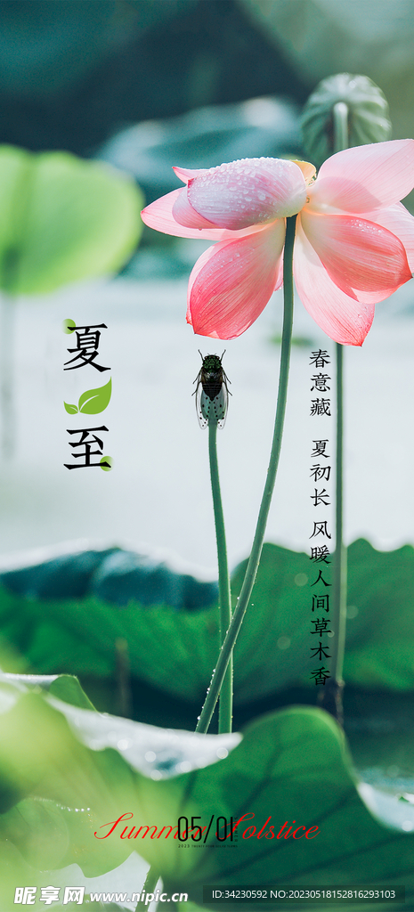 夏至