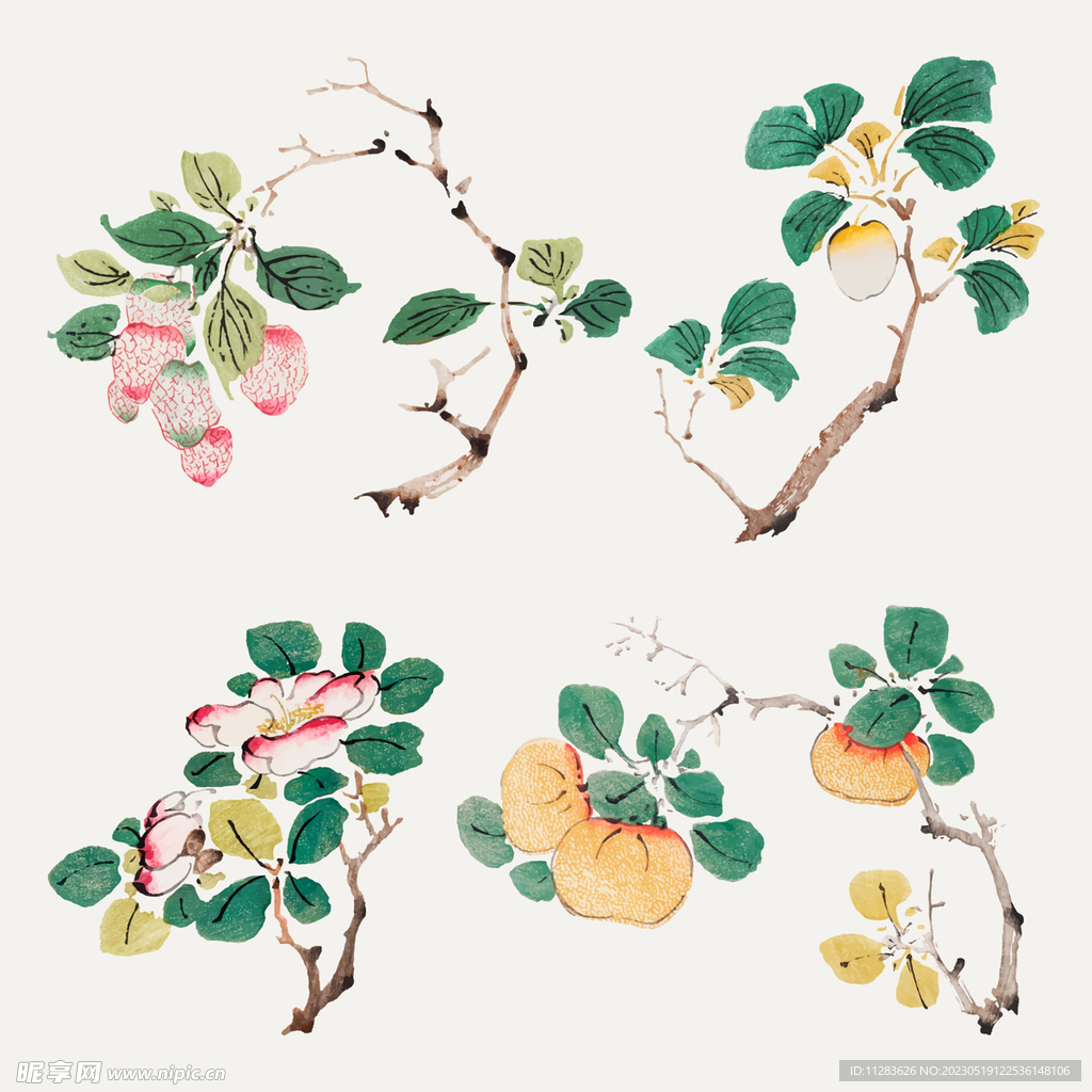 国画植物素材