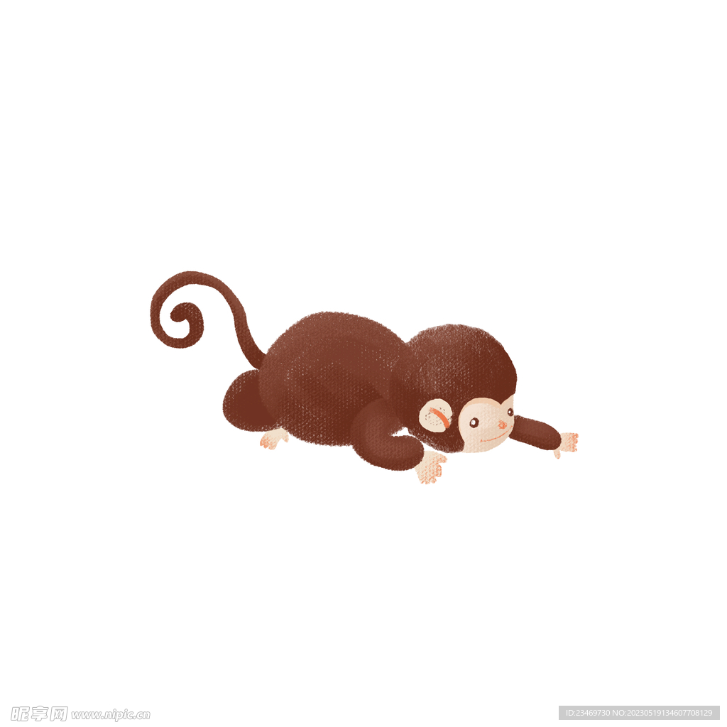 猴子