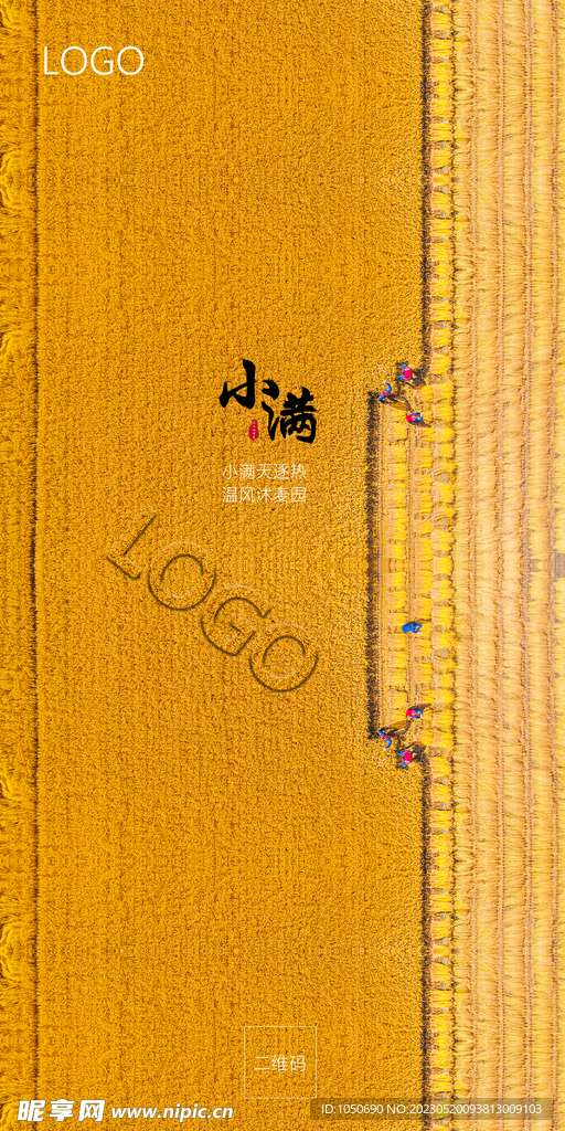 小满节气海报