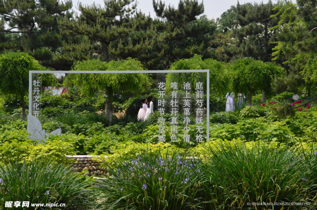 公园风景 