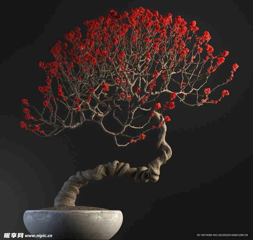 C4D模型 盆栽  