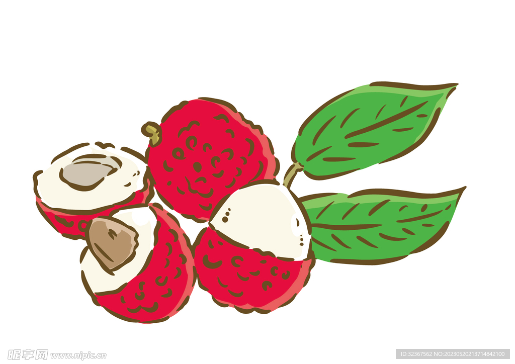 荔枝插画