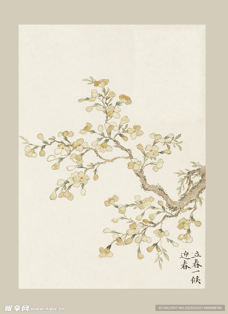 传统节气花卉