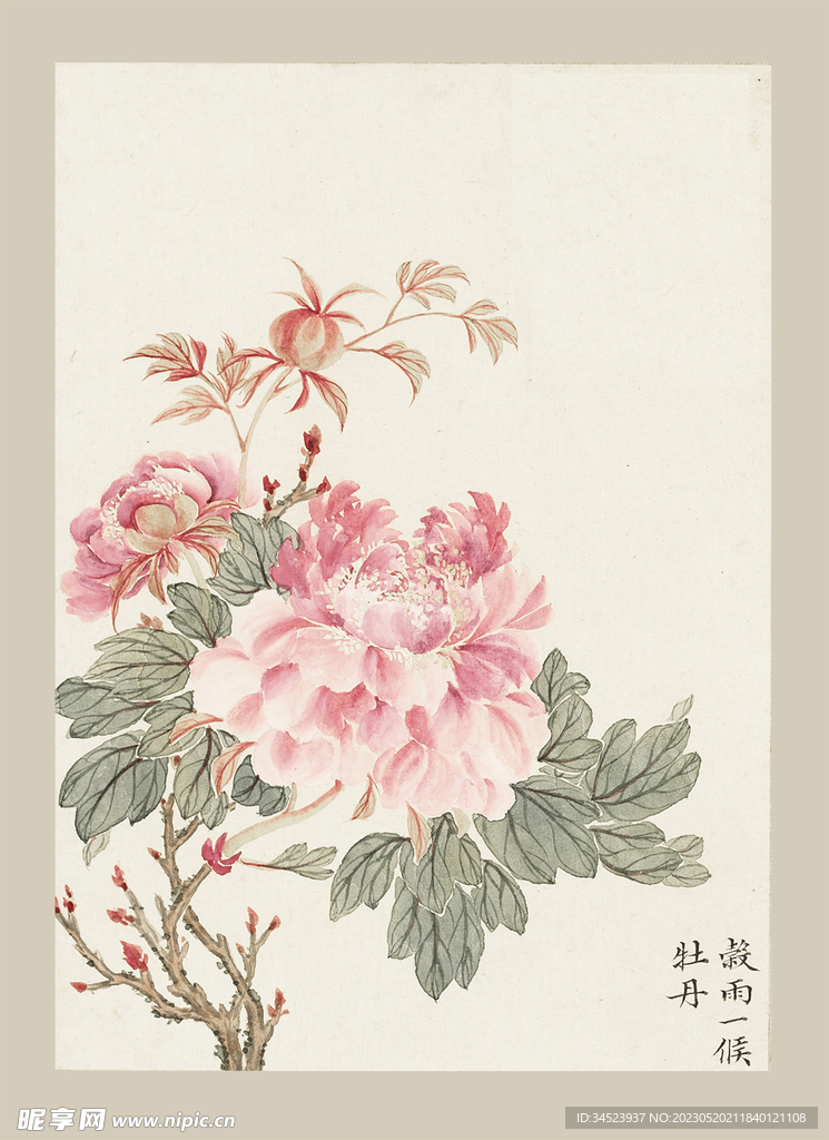 传统节气花卉